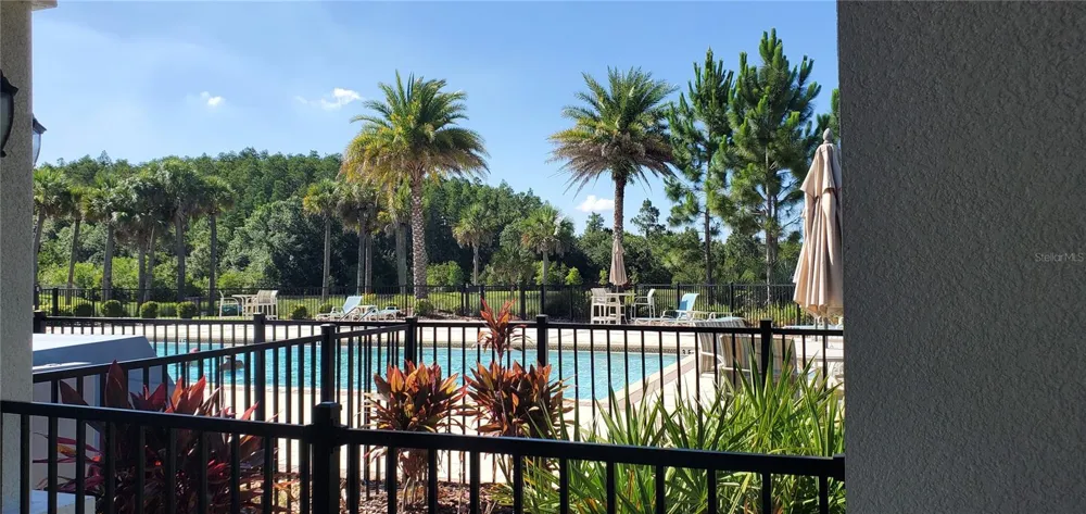 29821 SOUTHWELL LANE Wesley Chapel, FL 33543