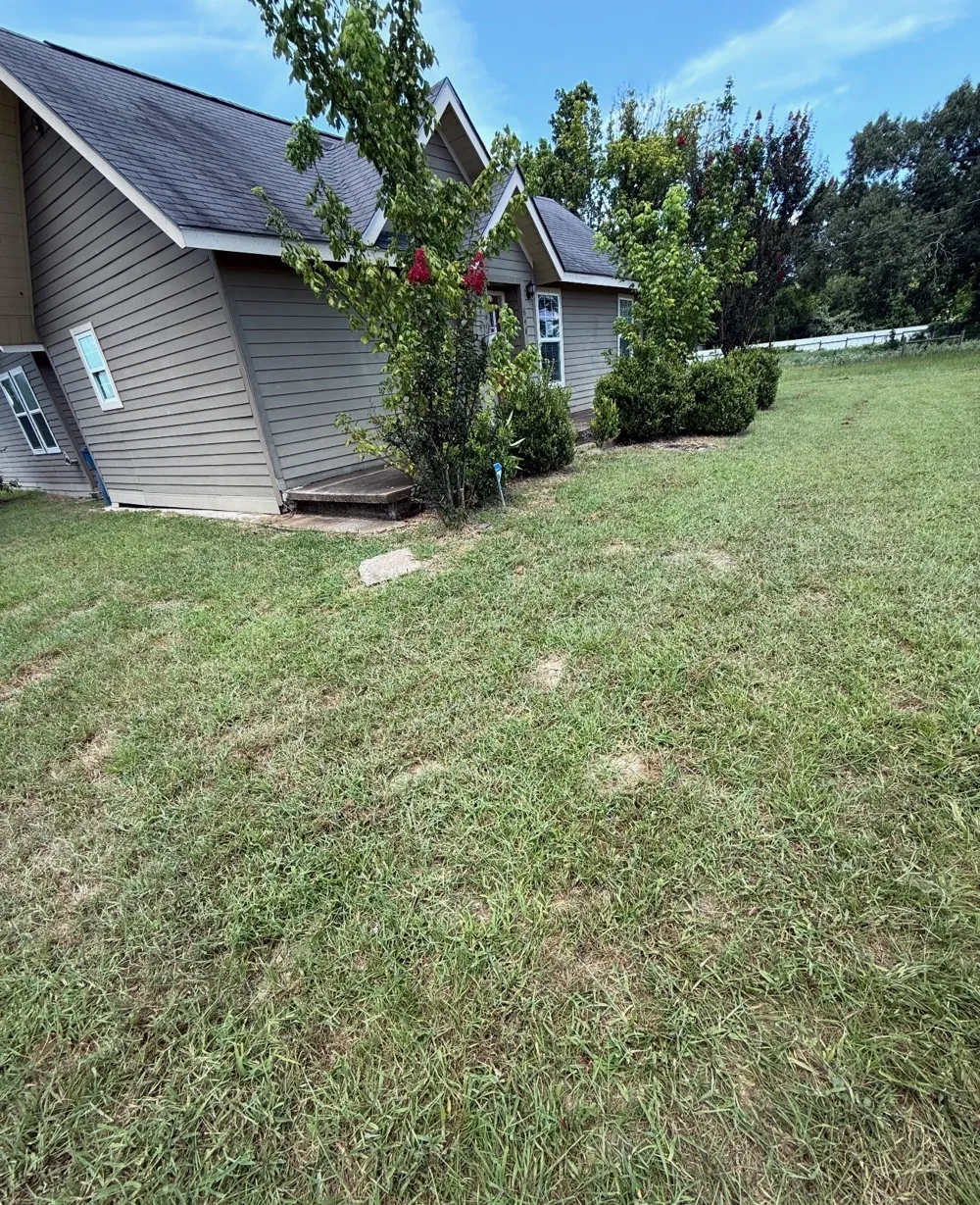 648 S Center Street Buffalo, TX 75831