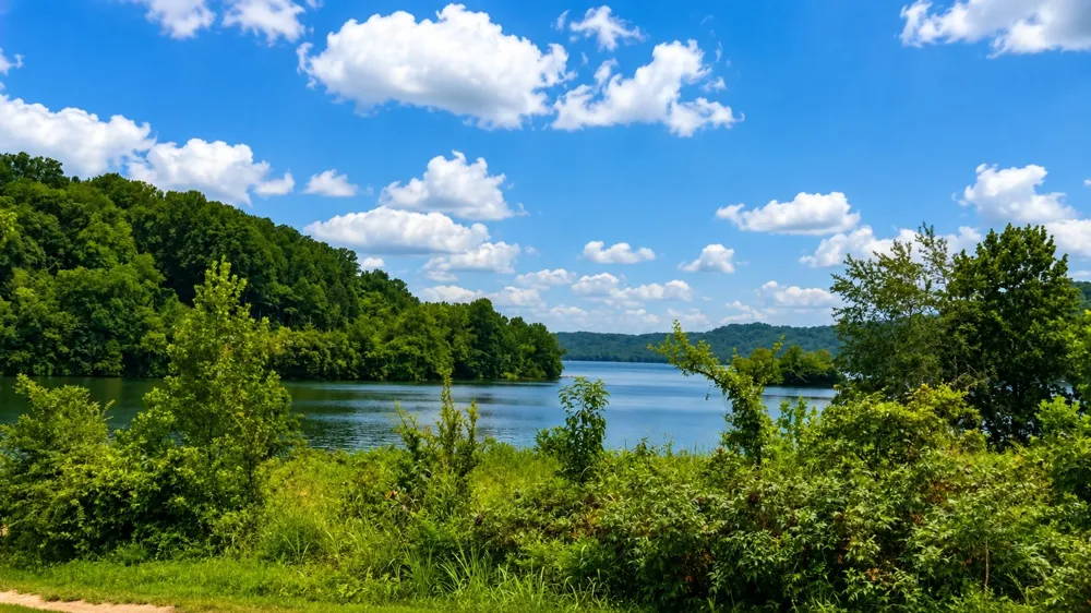 330 Fire Lake Dr Manchester, TN 37355