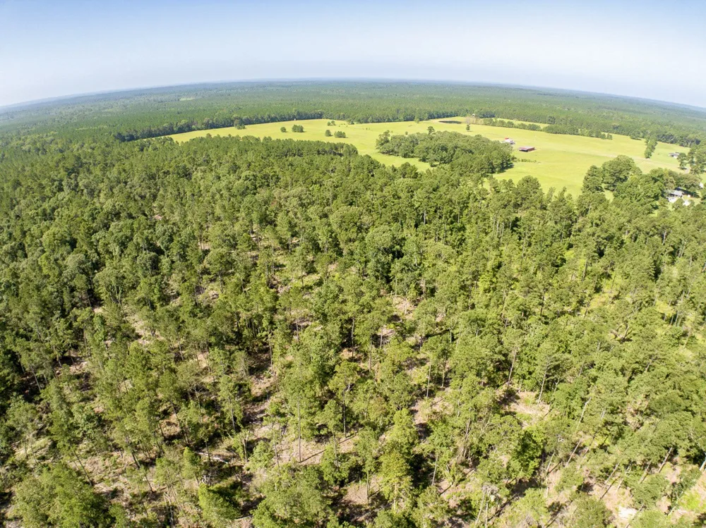 224 James King Road Zavalla, TX 75980
