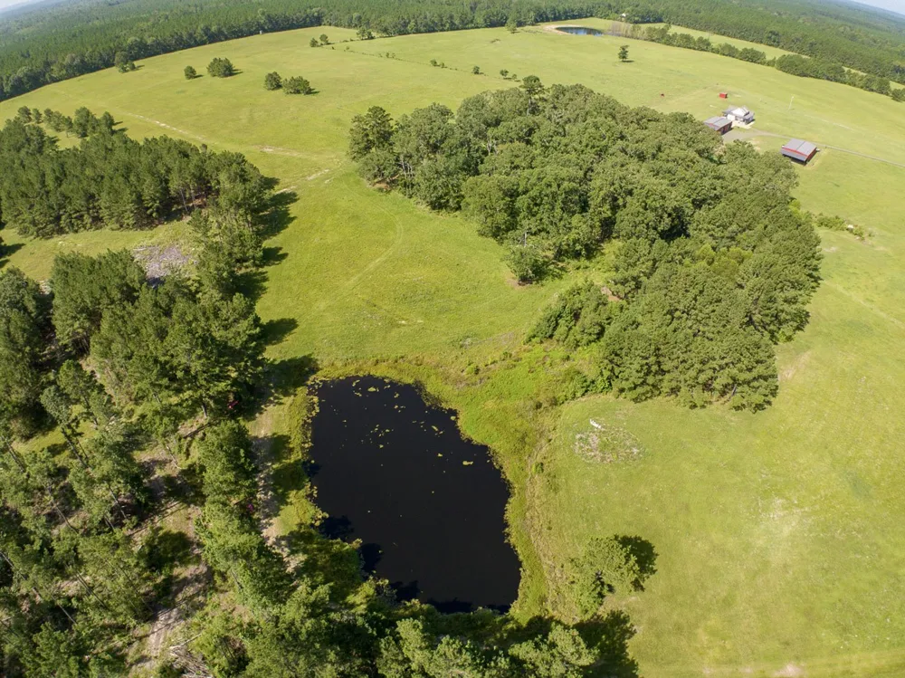 224 James King Road Zavalla, TX 75980
