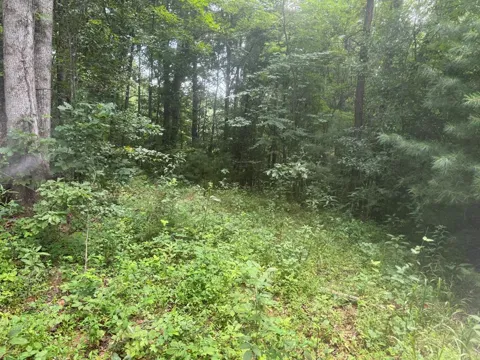 00 Camp Creek Estates Drive