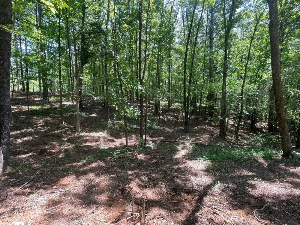 TR 3 Chalcrest Way Cave Spring, GA 30124