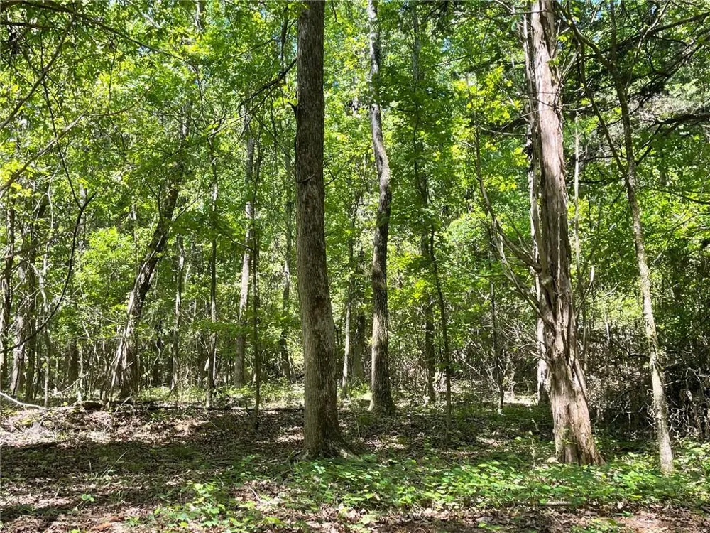 TR 3 Chalcrest Way Cave Spring, GA 30124