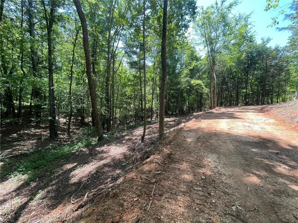 TR 3 Chalcrest Way Cave Spring, GA 30124