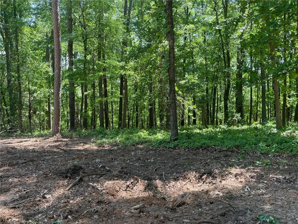 TR 3 Chalcrest Way Cave Spring, GA 30124