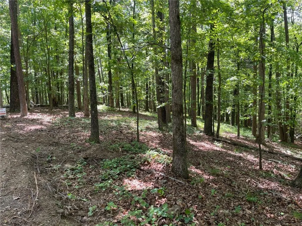 TR 3 Chalcrest Way Cave Spring, GA 30124