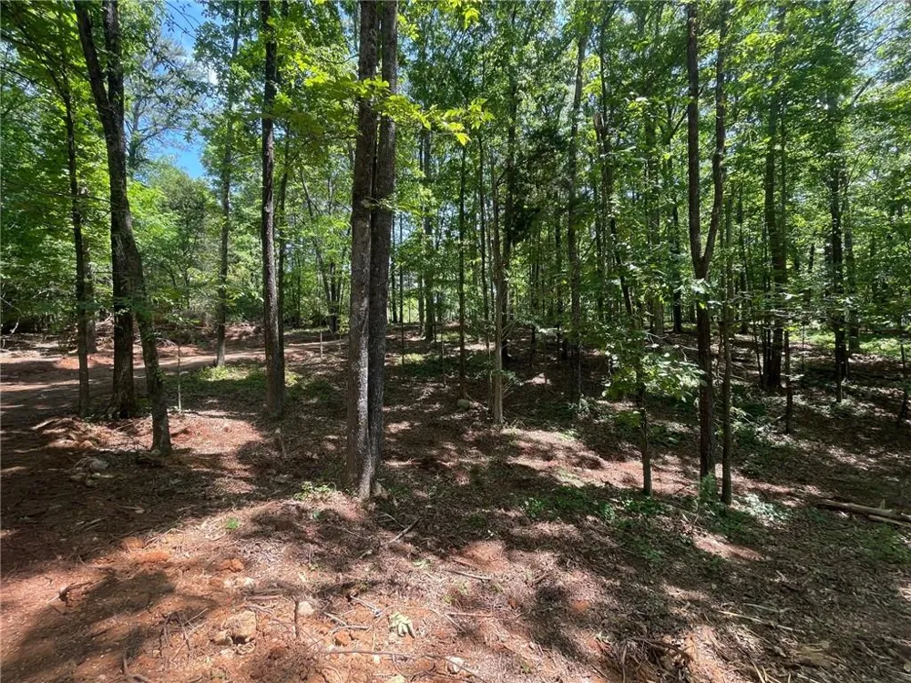 TR 3 Chalcrest Way Cave Spring, GA 30124