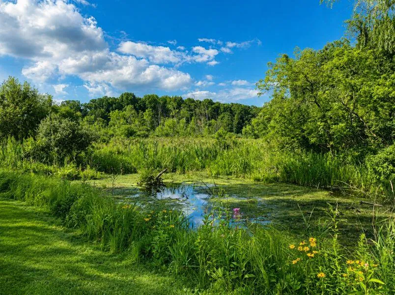 6545 M-89 Highway Richland, MI 49083