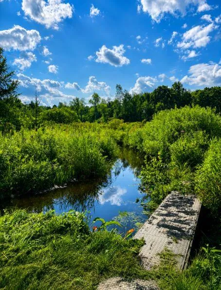 6545 M-89 Highway Richland, MI 49083