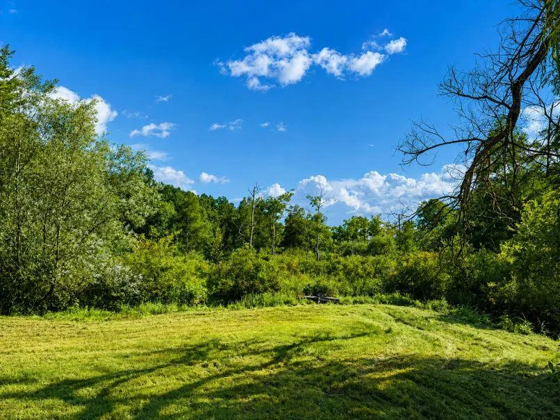 6545 M-89 Highway Richland, MI 49083