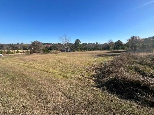 Grassy Lane Coldspring, TX 77331