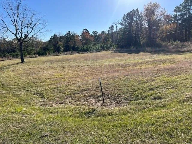 Grassy Lane Coldspring, TX 77331