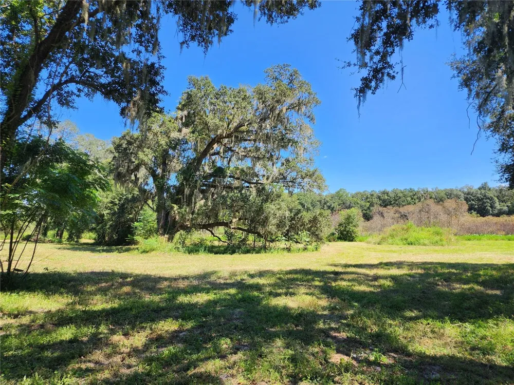 7670 NW 137TH AVENUE Morriston, FL 32668