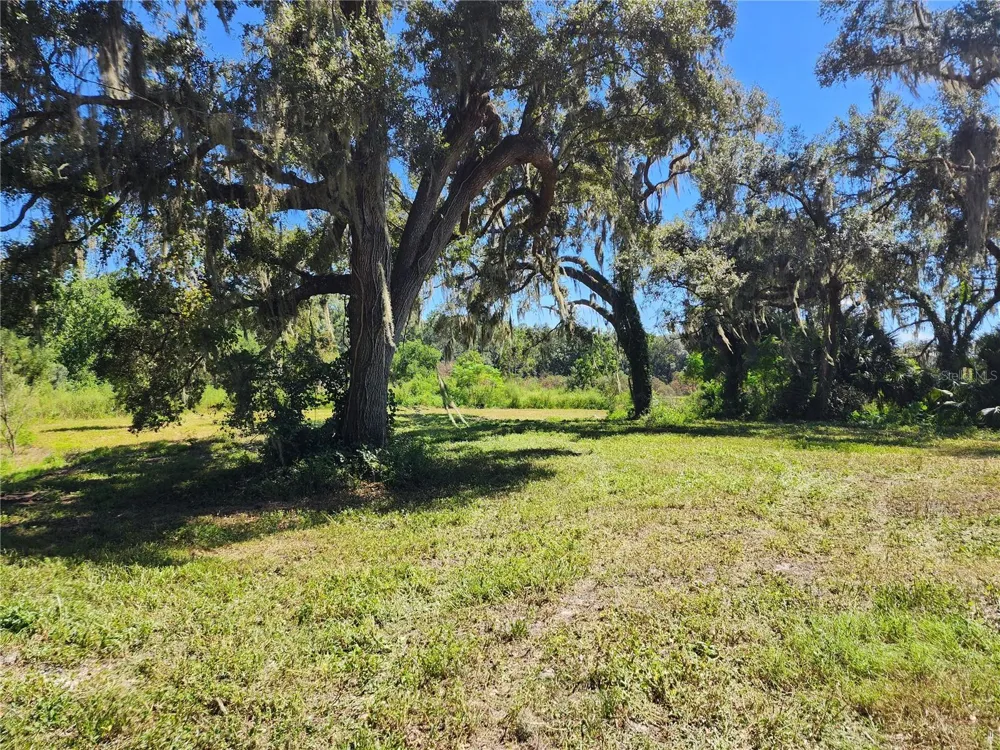 7670 NW 137TH AVENUE Morriston, FL 32668