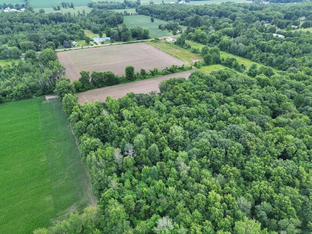 W Sloan Road Saginaw, MI 48603