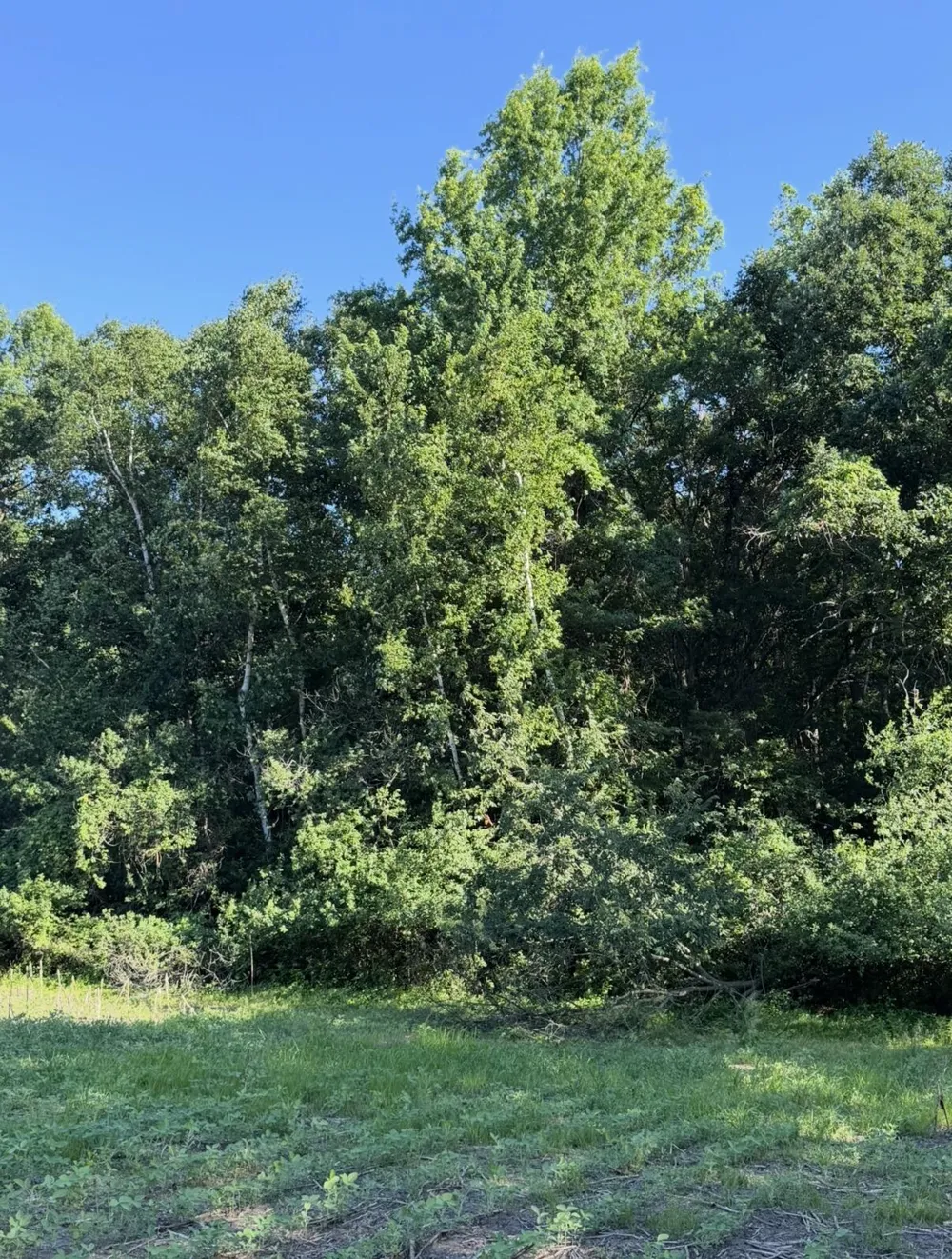 W Sloan Road Saginaw, MI 48603