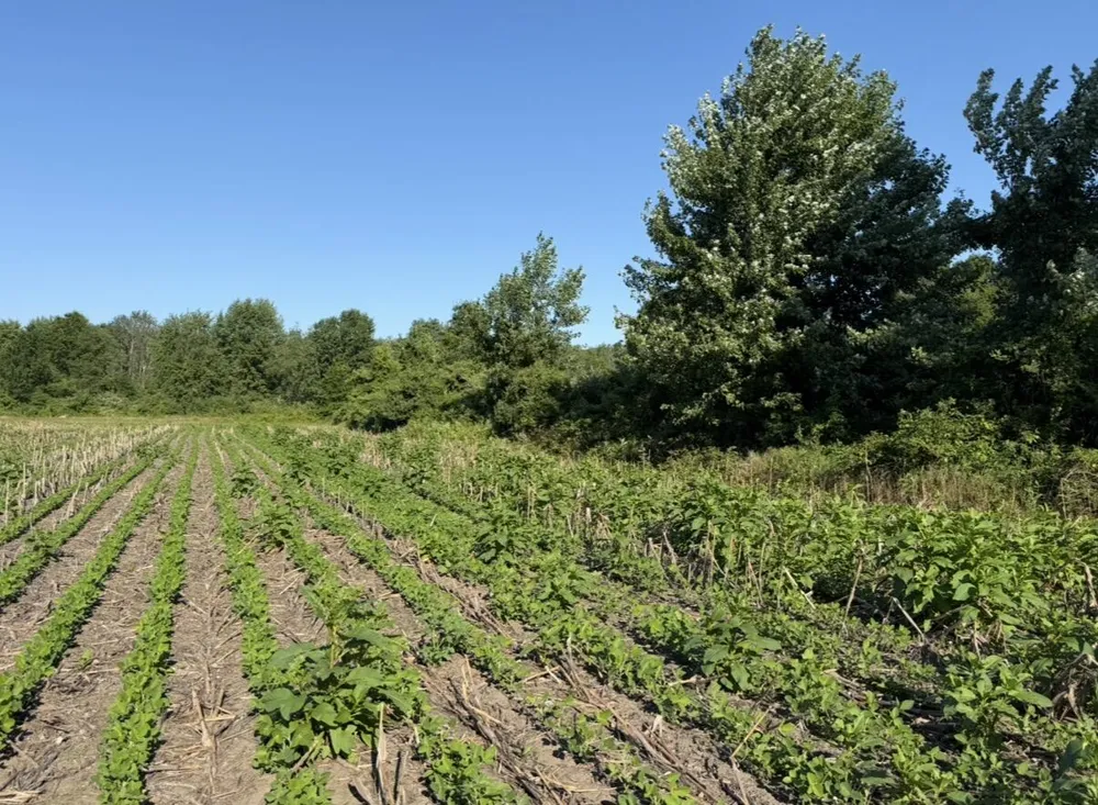 W Sloan Road Saginaw, MI 48603