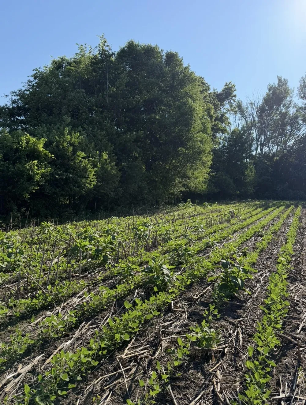 W Sloan Road Saginaw, MI 48603
