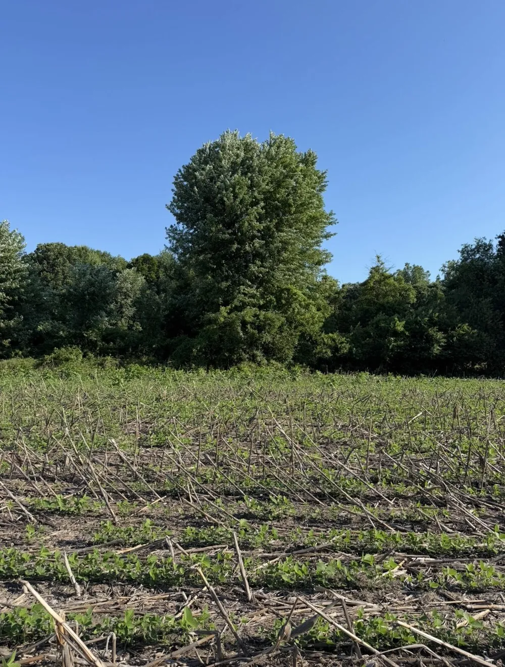 W Sloan Road Saginaw, MI 48603
