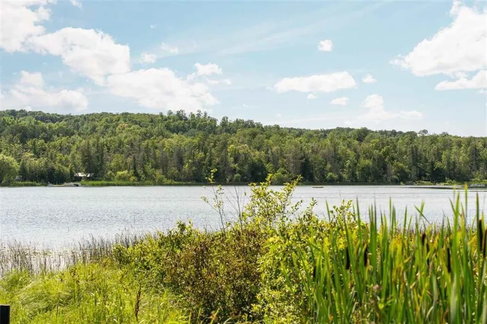 3555 Wilson Echo Township, MI 49727