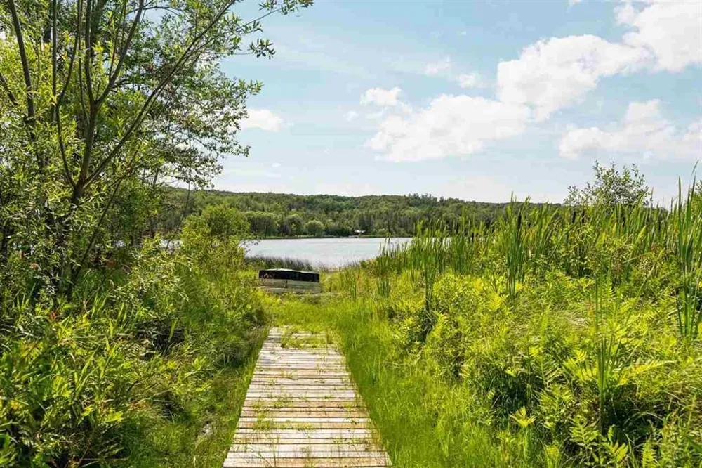 3555 Wilson Echo Township, MI 49727