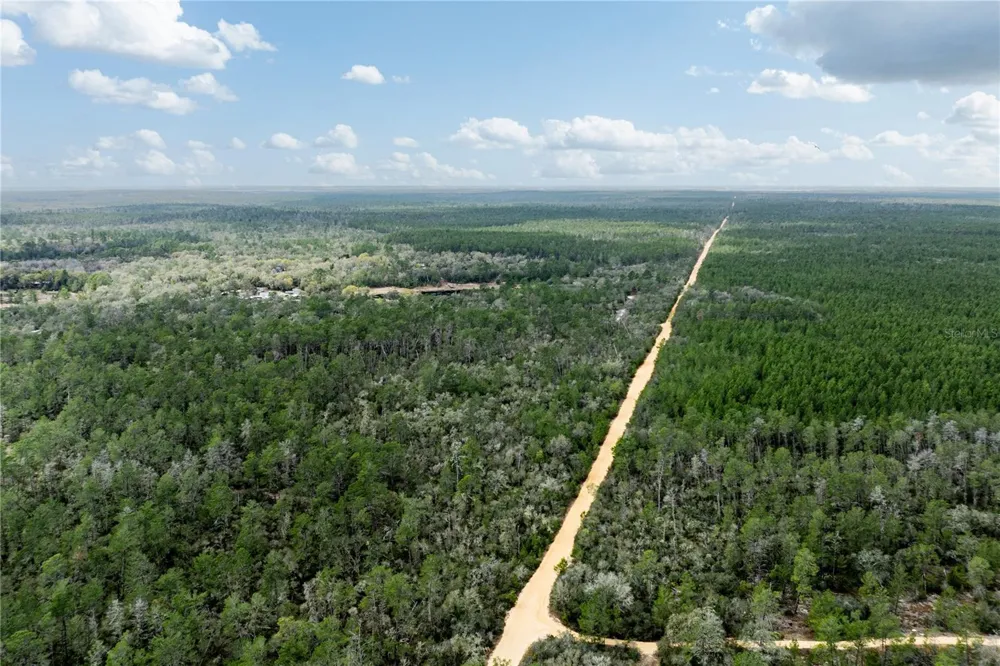 0 FOREST 02, #1, SE 150TH STREET Umatilla, FL 32784