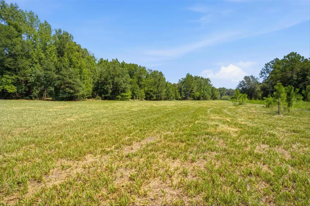 0 FOREST 02, #1, SE 150TH STREET Umatilla, FL 32784