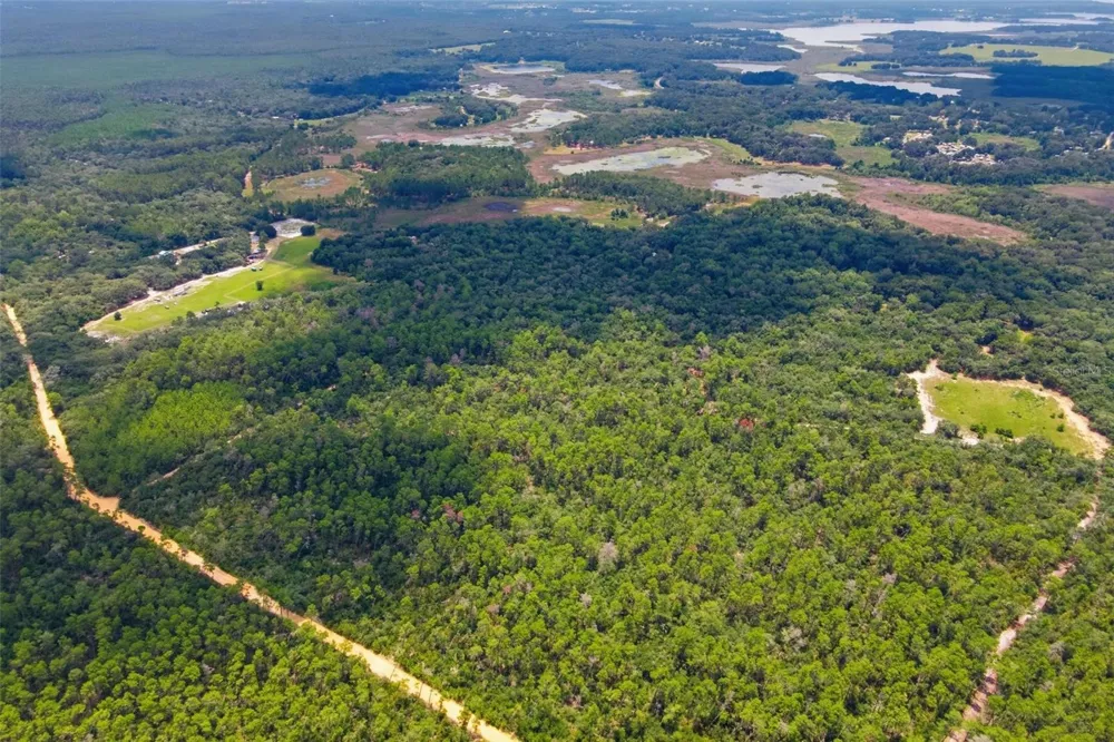 0 FOREST 02, #1, SE 150TH STREET Umatilla, FL 32784