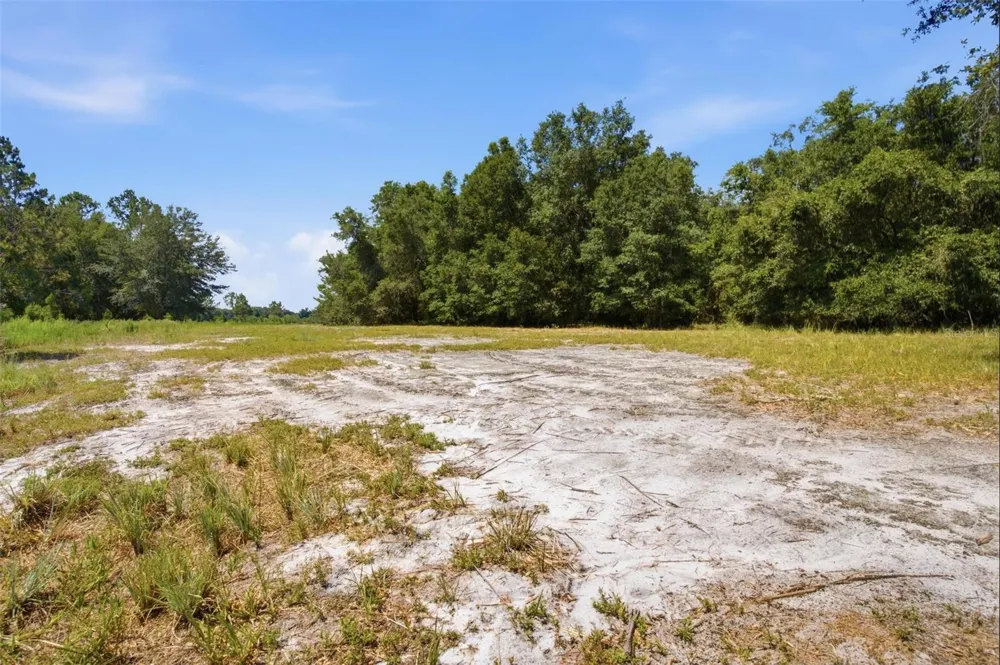 0 FOREST 02, #1, SE 150TH STREET Umatilla, FL 32784