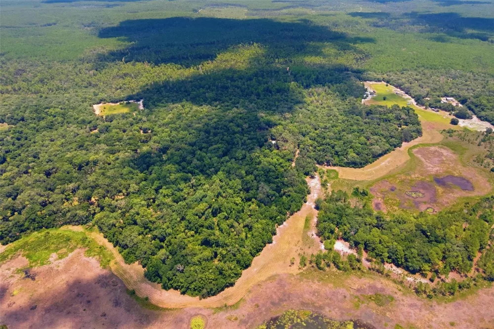 0 FOREST 02, #1, SE 150TH STREET Umatilla, FL 32784