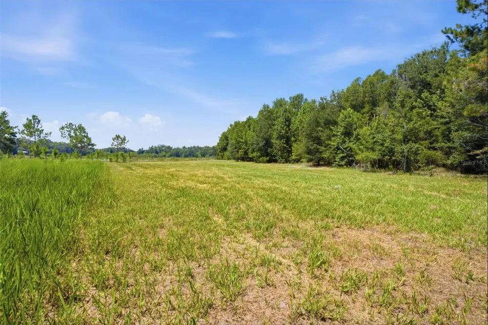 0 FOREST 02, #1, SE 150TH STREET Umatilla, FL 32784