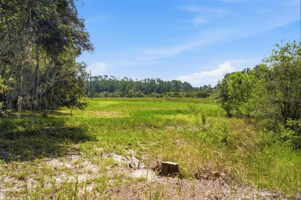 0 FOREST 02, #1, SE 150TH STREET Umatilla, FL 32784