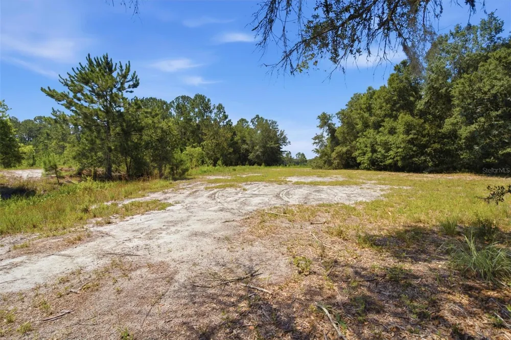 0 FOREST 02, #1, SE 150TH STREET Umatilla, FL 32784