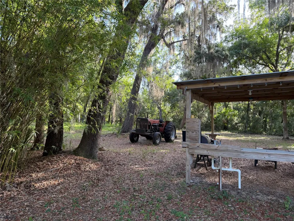 0 FOREST 02, #1, SE 150TH STREET Umatilla, FL 32784