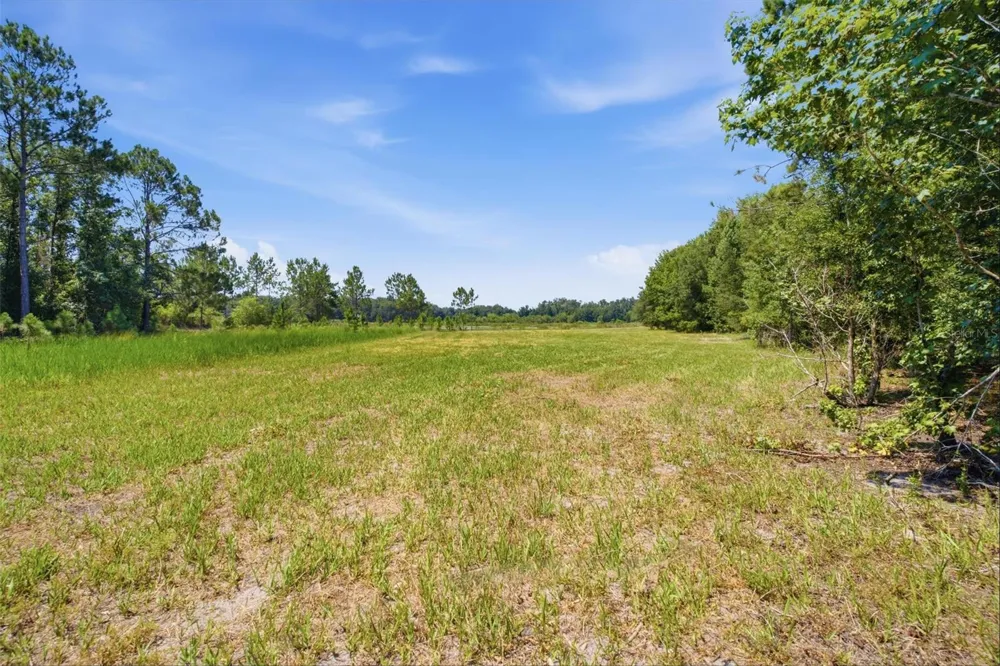 0 FOREST 02, #1, SE 150TH STREET Umatilla, FL 32784