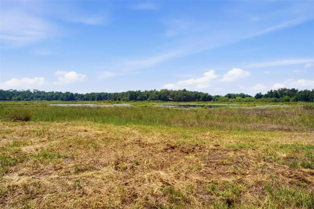 0 FOREST 02, #1, SE 150TH STREET Umatilla, FL 32784