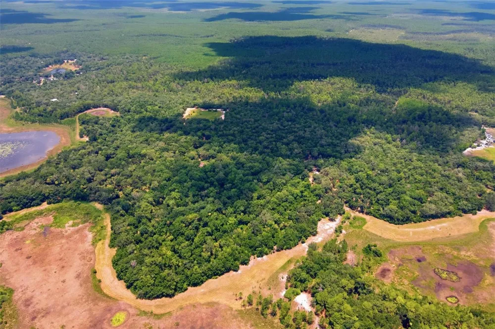 0 FOREST 02, #1, SE 150TH STREET Umatilla, FL 32784