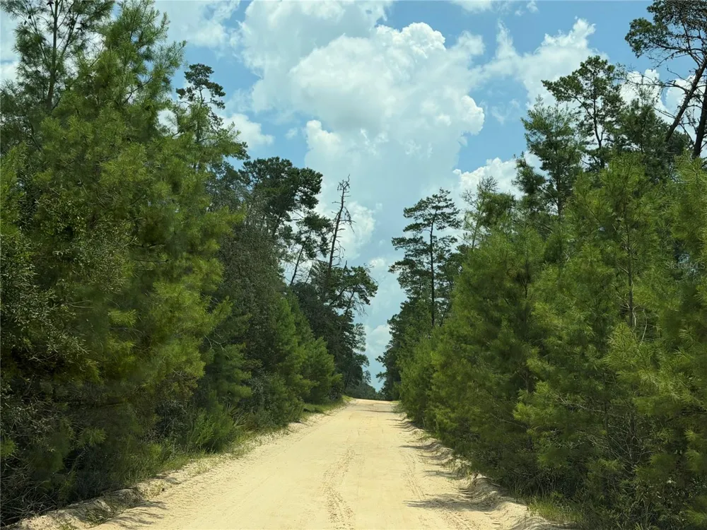 0 FOREST 02, #1, SE 150TH STREET Umatilla, FL 32784