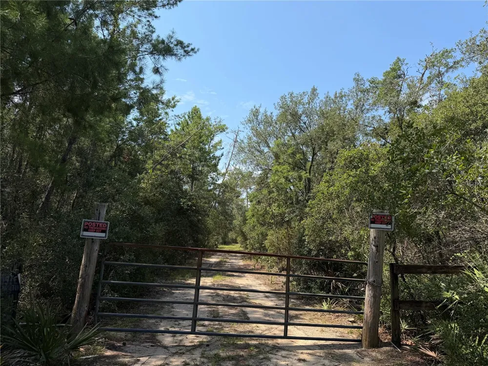 0 FOREST 02, #1, SE 150TH STREET Umatilla, FL 32784