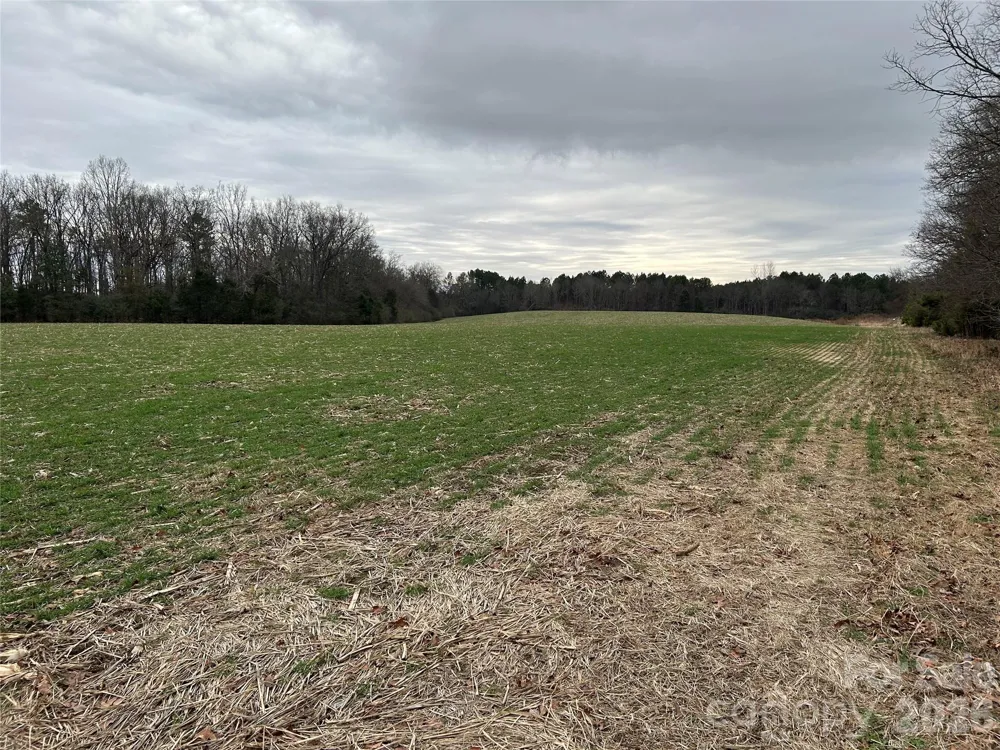 1440-2 Carl Taylor Road Peachland, NC 28133