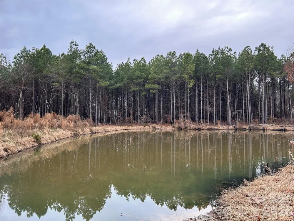 1440-2 Carl Taylor Road Peachland, NC 28133
