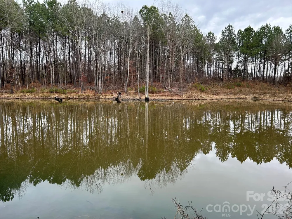 1440-2 Carl Taylor Road Peachland, NC 28133