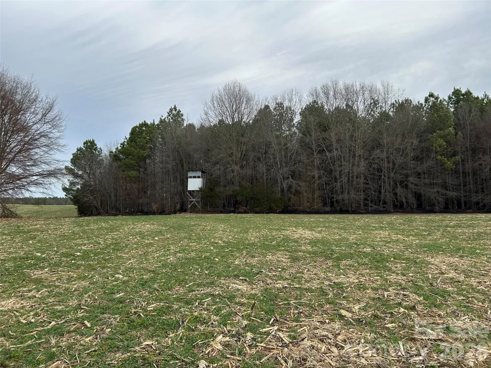 1440-2 Carl Taylor Road Peachland, NC 28133