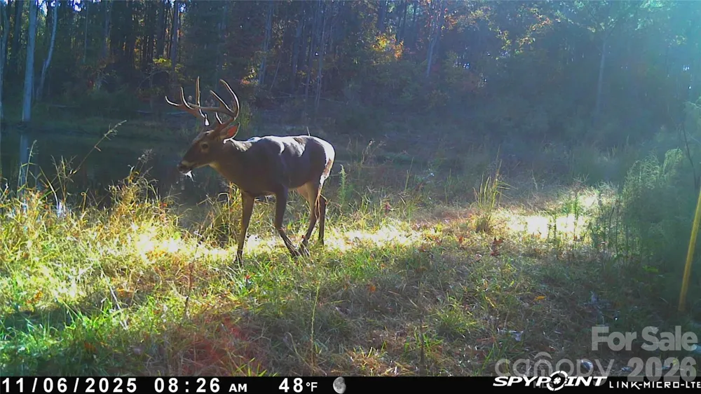 1440-2 Carl Taylor Road Peachland, NC 28133