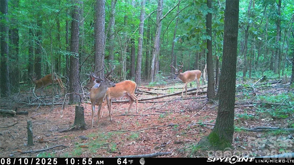 1440-2 Carl Taylor Road Peachland, NC 28133