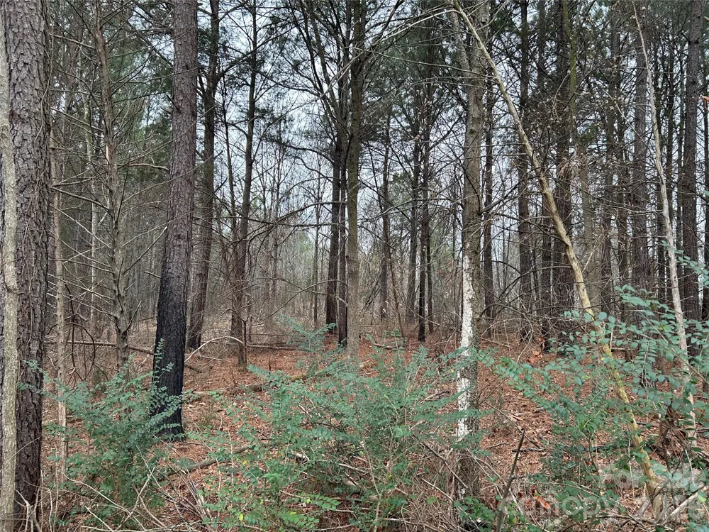 1440-2 Carl Taylor Road Peachland, NC 28133