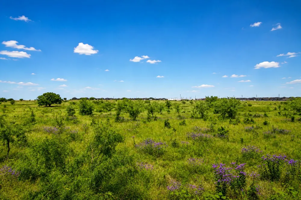 1804 Mensa Drive Haslet, TX 76052