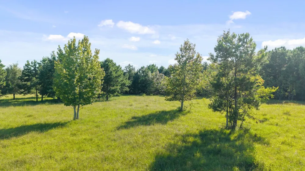 734 County Road 3011 Dayton, TX 77535