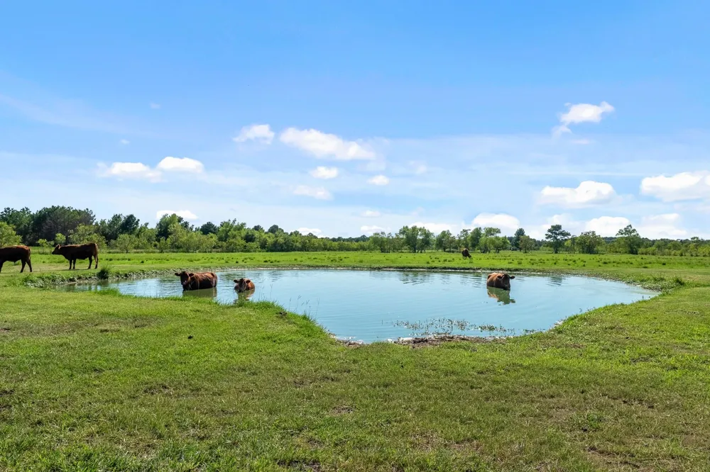 734 County Road 3011 Dayton, TX 77535